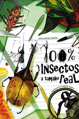 100% insectos a tamaño real