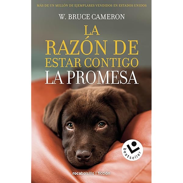 La razón de estar contigo cover