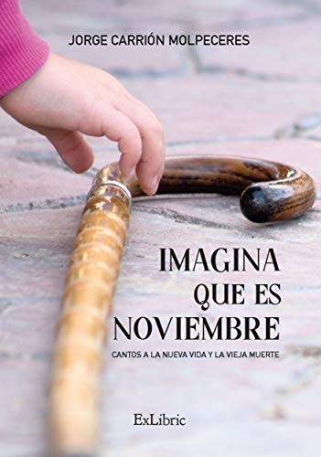 Imagina que es noviembre cover