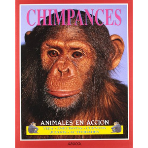 Chimpancés