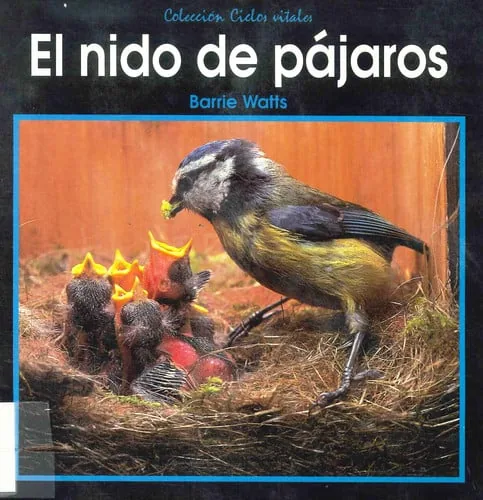 El nido de pájaros