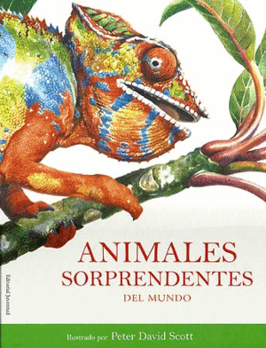 Animales Sorprendentes del mundo cover