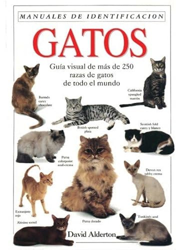 Gatos