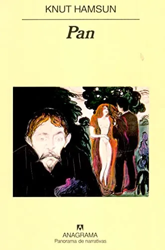 Pan cover