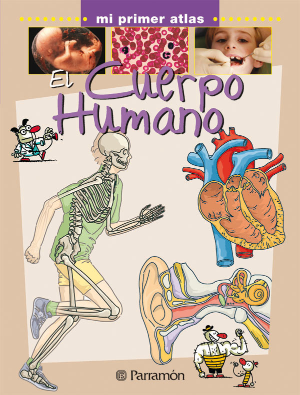 El cuerpo humano
