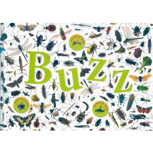 Buzz cover