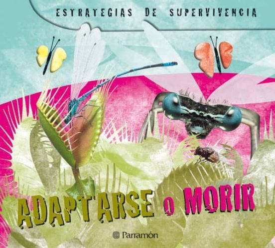 El gran Libro de  Cuentos con valores