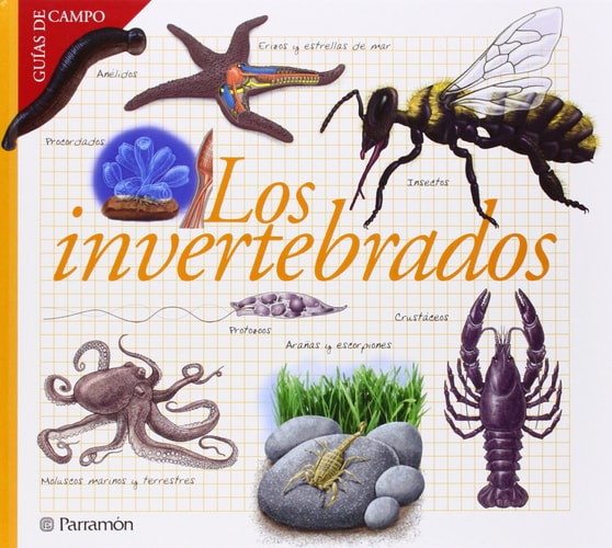 Los Invertebrados cover