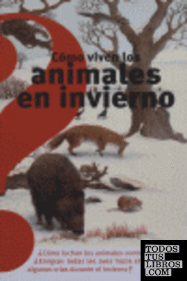 Cómo viven los animales en invierno