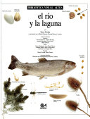 El río y la laguna
