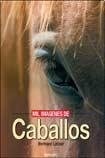 Mil imágenes de caballos