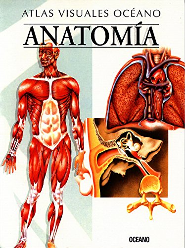 Anatomia