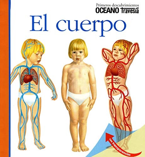 El cuerpo