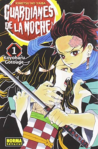 Guardianes de la noche cover