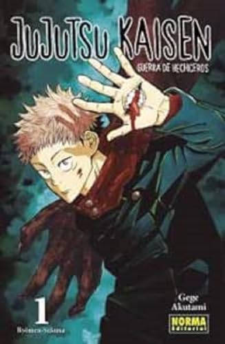 Jujutsu Kaisen 01 cover