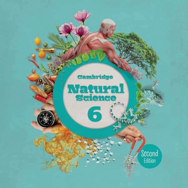 Supervivientes cover