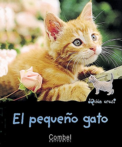 El pequeño gato cover