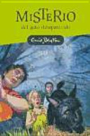 El misterio del gato desaparecido