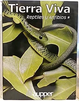 Tierra viva: reptiles y anfibios 1 cover