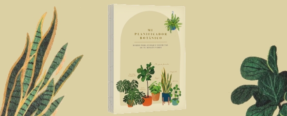 Plantas de interior cover