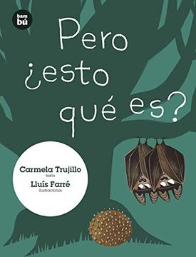 Pero ¿esto qué es?