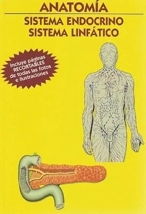 Sistema Endocrino. Sistema Linfático