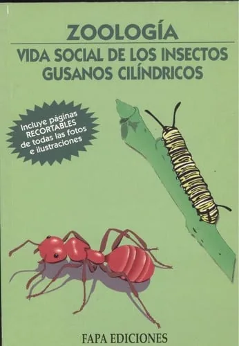 Vida Social de Los Insectos. Gusanos Cilíndricos cover
