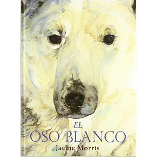 El oso blanco
