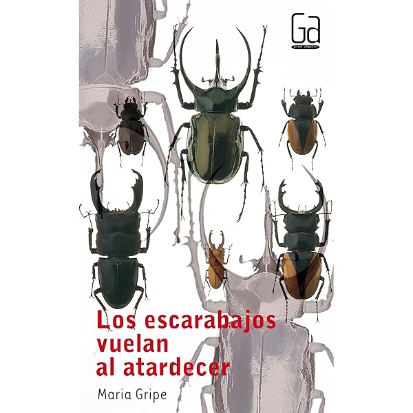 Los escarabajos vuelan al atardecer