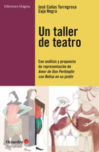 Un taller de teatro: Con análisis y propuesta de presentación de Amor de Don Perlimplín con Belisa en su jardín cover