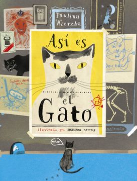Así es el gato cover