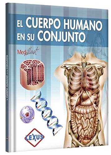 El cuerpo humano y su conjunto cover