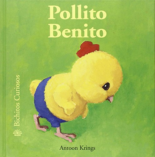 Pollito Benito