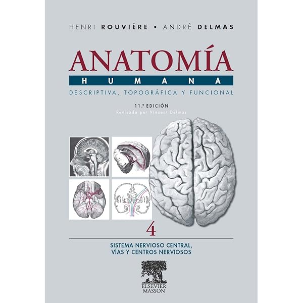 El sistema Nervioso Central cover