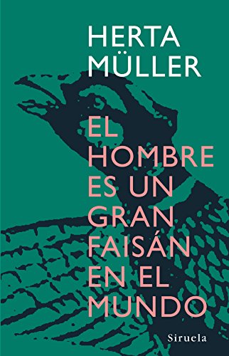 El hombre es una gran Faisán en el mundo cover