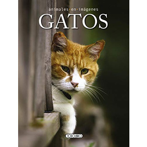 Animales en imágenes - Gatos cover
