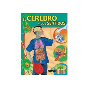 El Cerebro y los sentidos.