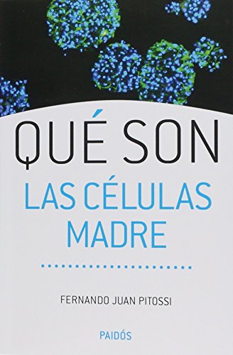 Qué son las células madre