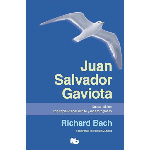 Juan Salvador Gaviota