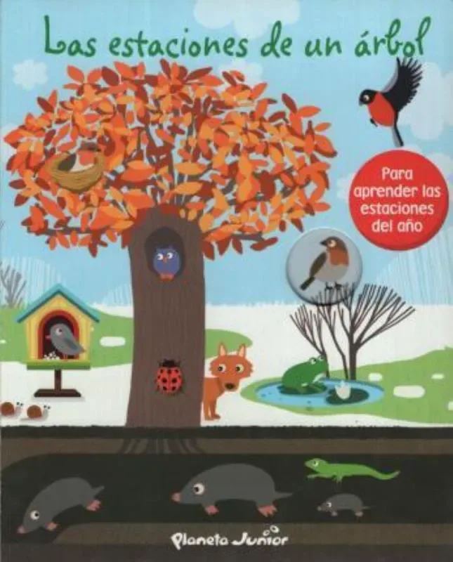 Las Estaciones De Un Arbol