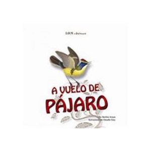 A vuelo de pájaro cover
