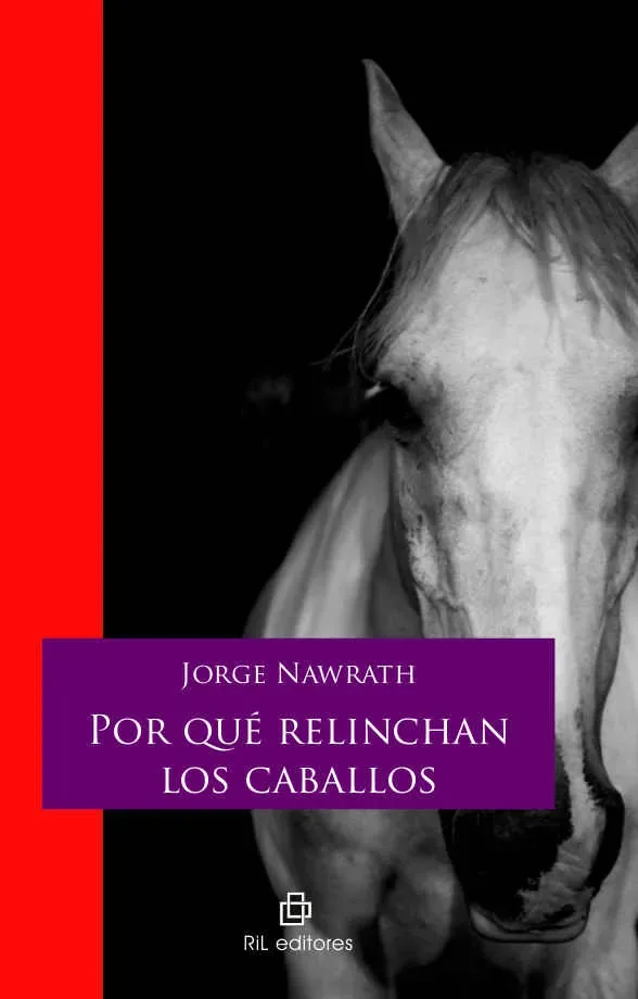 Por qué relinchan los caballos cover