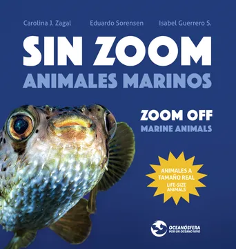 Sin zoom cover