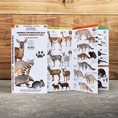 Mamíferos continentales de Chile/ Contiental Mammals of Chile