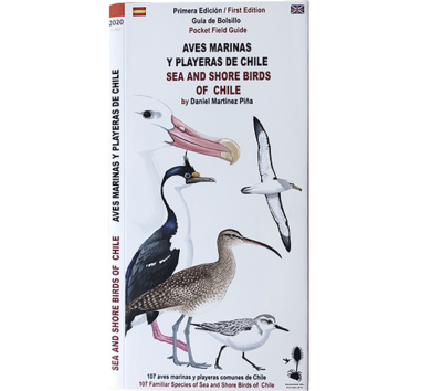Aves marinas y playeras de Chile/Sea and shore birds of Chile