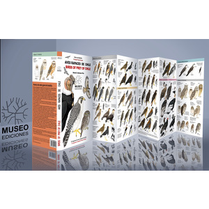 Aves rapaces de Chile/Birds of prey of Chile