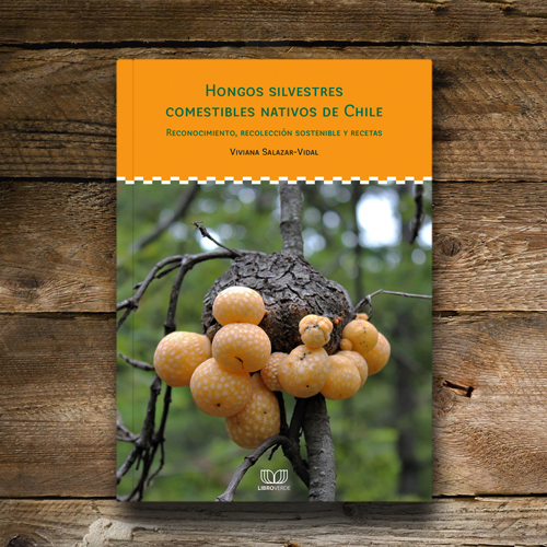 Hongos silvestres comestibles nativos de Chile