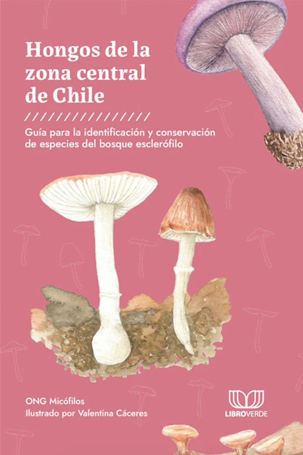 Hongos de la zona central de Chile cover