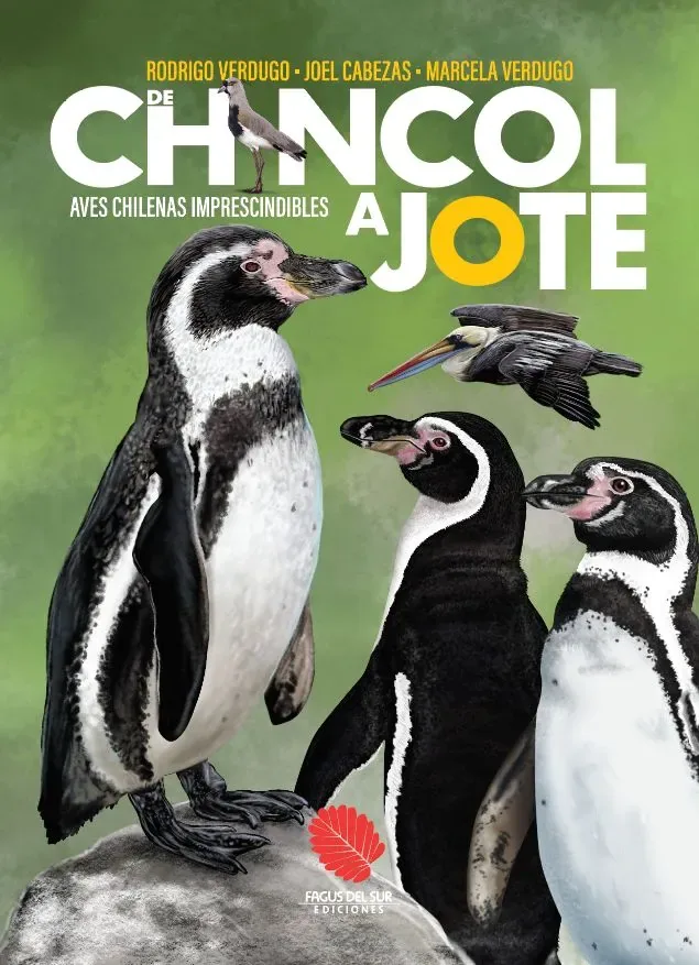 De Chincol a Jote : Aves chilenas imprescindibles