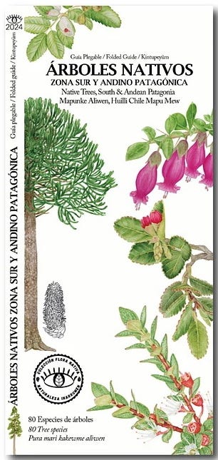 Árboles nativos zona sur y andino patagónica